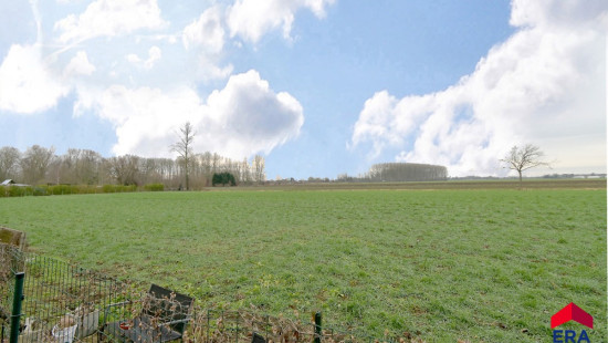 Molenstraat - 136 - - 9950