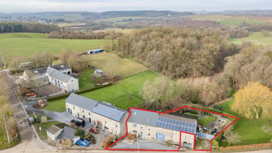 Tige du Bois de Gras - 12 - - 6941