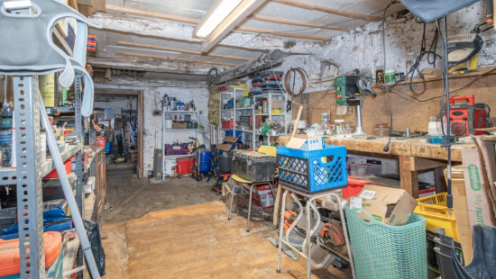 Tige du Bois de Gras - 12 - - 6941