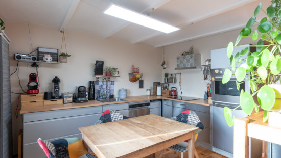 Tige du Bois de Gras - 12 - - 6941