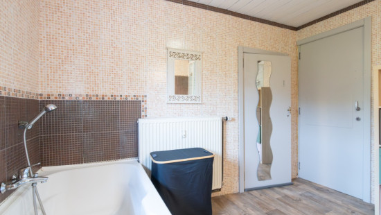 Tige du Bois de Gras - 12 - - 6941