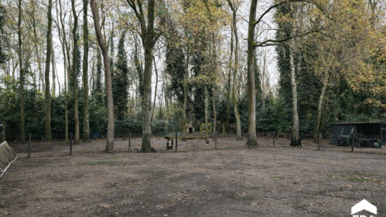 Omlooplaan - 32 - - 3600