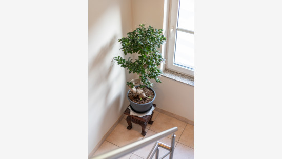 Gasthuisstraat - 71 - - 1785