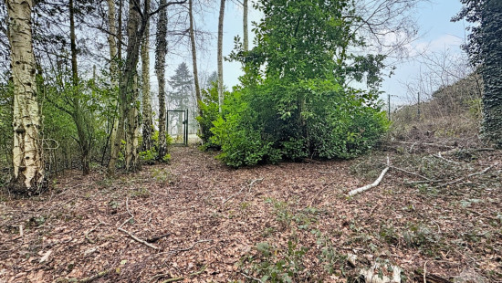 Vieux Chemin de Hal - 35 B - - 1440