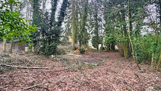 Vieux Chemin de Hal - 35 B - - 1440