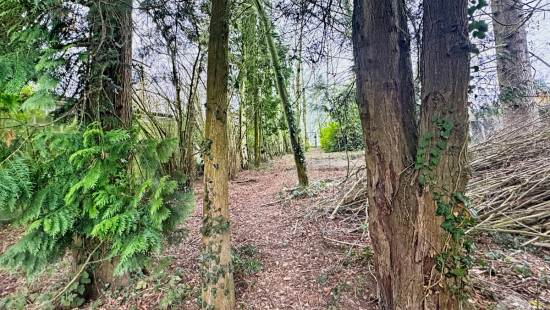 Vieux Chemin de Hal - 35 B - - 1440