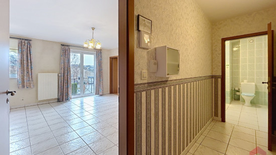 Rue de Dave - 87 - 4 - 5100