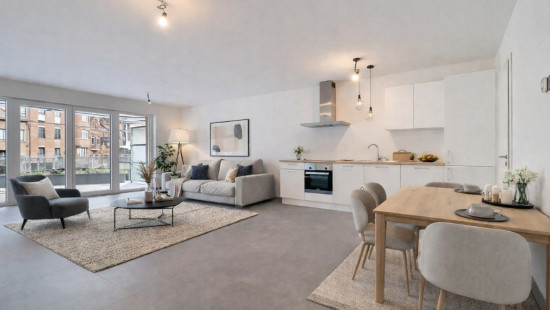 Angle Avenue Alphonse Allard et Albert 1er - 1 - 102 - 102 - 1420