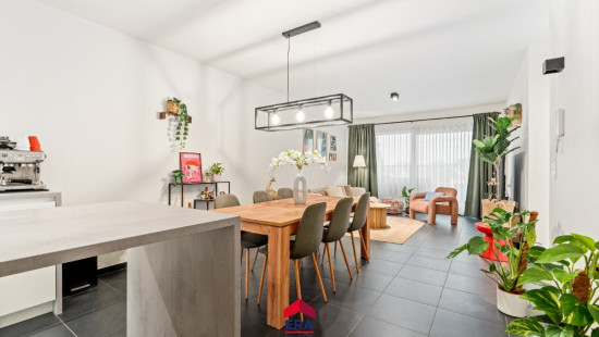 Norbert Neeckxlaan - 4 - 0202 - 3920