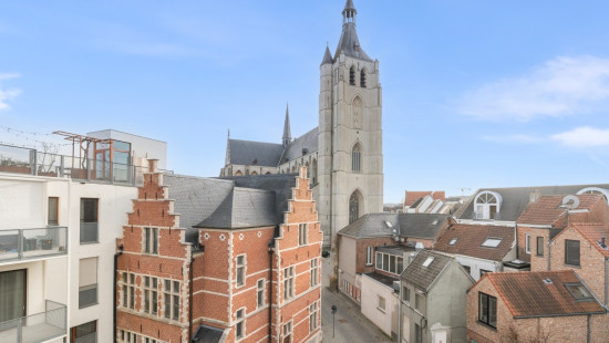 Moensstraat - 51 - - TW 3.1 - 2800