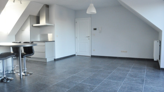 Gebroeders Van raemdonckstraat - 19 - Bus 202 - 2560