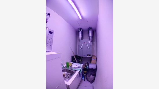 Rue du Tilleul - 49 - - 4432