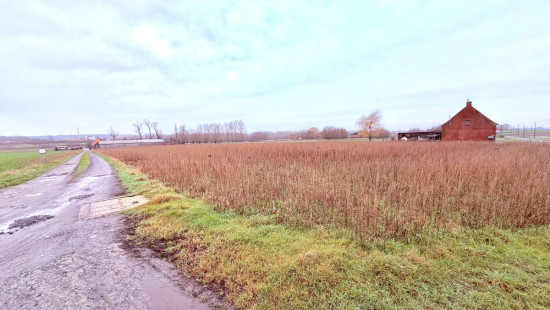 Haezeweidestraat - 11 - - 8920