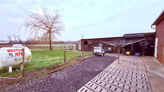 Haezeweidestraat - 11 - - 8920