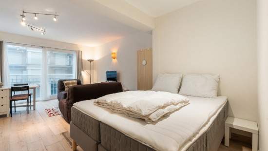 Steekspelstraat - 33 - 0102 - 8670