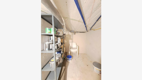 Frankrijklaan - 32 - - 8550