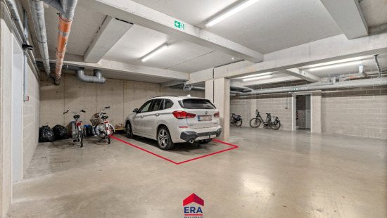 Norbert Neeckxlaan - 4 - 0202 - 3920