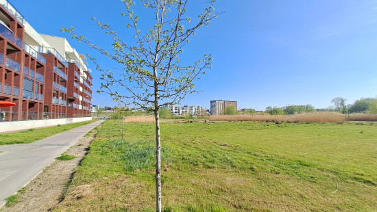 Rietvoornstraat - 6 - 302 - 3.4 - 8530