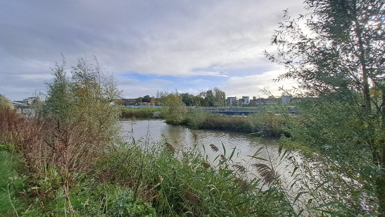 Rietvoornstraat - 6 - 302 - 3.4 - 8530