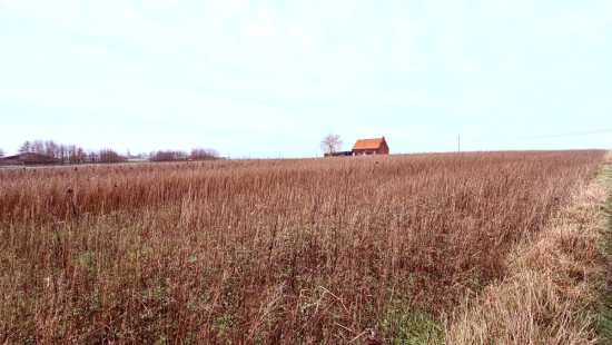 Haezeweidestraat - 11 - - 8980