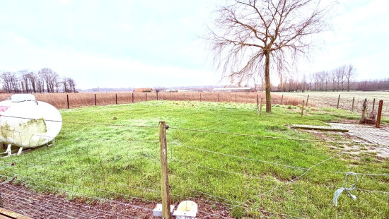 Haezeweidestraat - 11 - - 8980