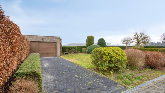 Hombekerkouter - 142 - - 2811