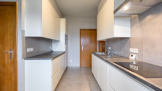 Hombekerkouter - 142 - - 2811