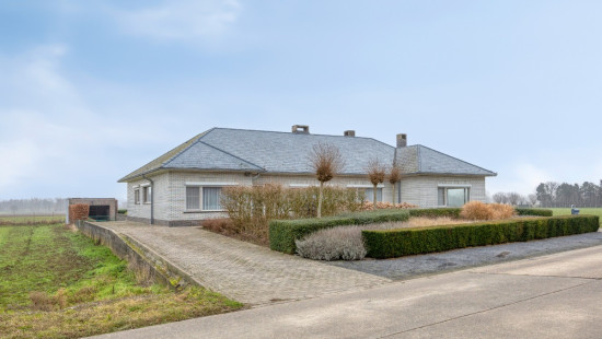 Hombekerkouter - 142 - - 2811