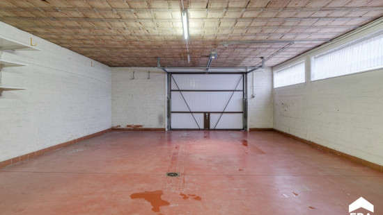 Molemstraat - 12 - - 3560