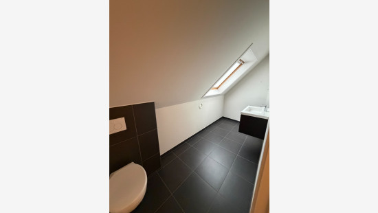 Pastoor Termotestraat - 1 - B - 8750