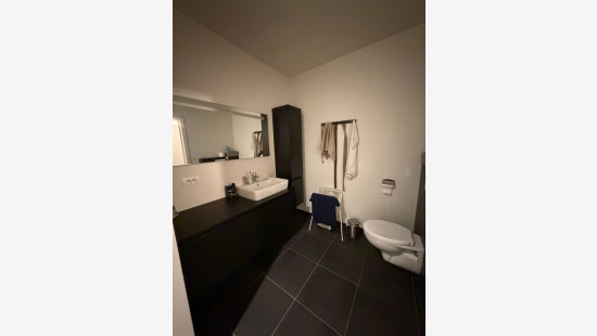 Pastoor Termotestraat - 1 - B - 8750