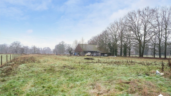 Berkenenstraat - 17A - - 3520