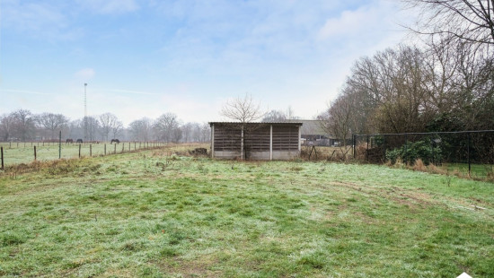 Berkenenstraat - 17A - - 3520