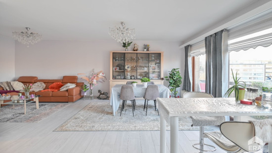 Avenue du Château - 124 - 10 - 1081