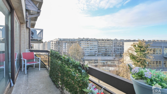 Avenue du Château - 124 - 10 - 1081