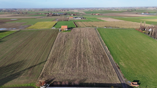 Haezeweidestraat - 11 - - 8980