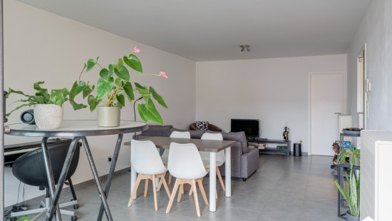 Plantenstraat - 31 - 2.02 - 3500