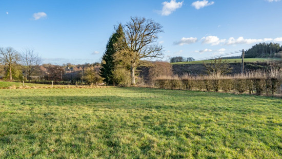 Buisson - LOT 1 - 1605C - 6980