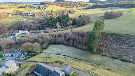 buisson - LOT 2 - division - 6980