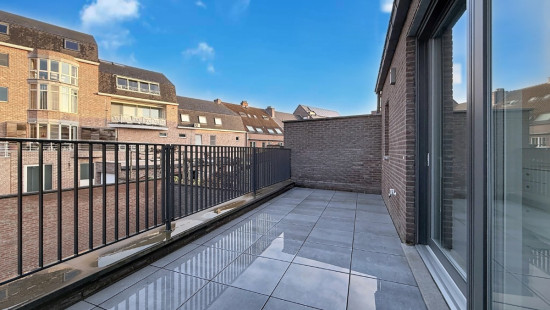 Meinestraat - 7 - - 3960