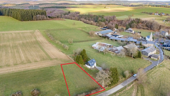 Buisson - LOT 1 - 1605C - 6980