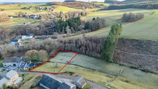 buisson - LOT 2 - division - 6980