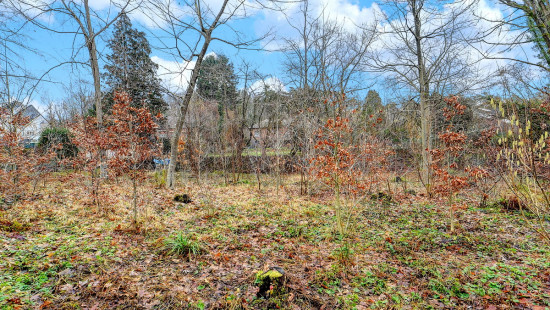 Kaalheide - 33 - - Huldenberg