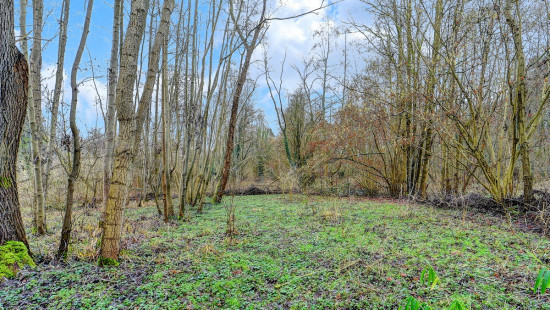 Kaalheide - 33 - - Huldenberg