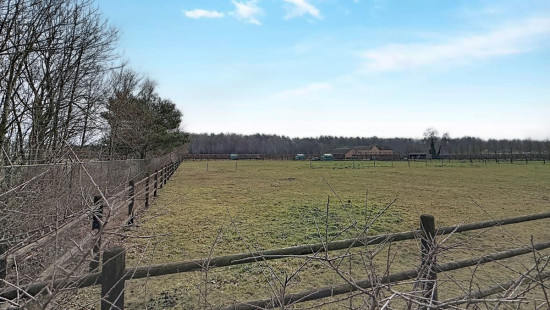 Weg naar Zwartberg - 265 - 6 - 3660