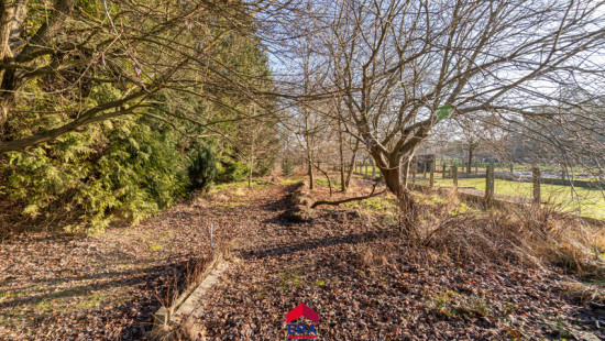 Postelweg - 87 - - 2490