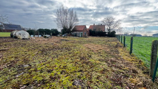 Kerselaardreef - 7 - - 8800