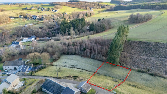 Buisson - LOT 4 - division - 6980