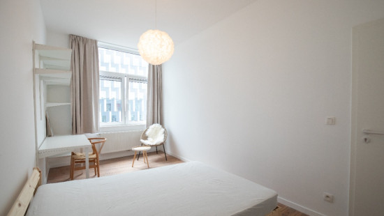 Rue Paradis - 64 - - 4000