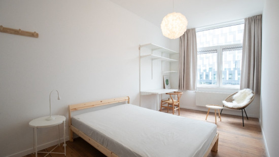 Rue Paradis - 64 - - 4000